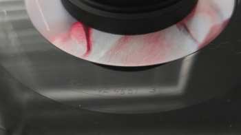 LP Daisy the Great: The Rubber Teeth Talk