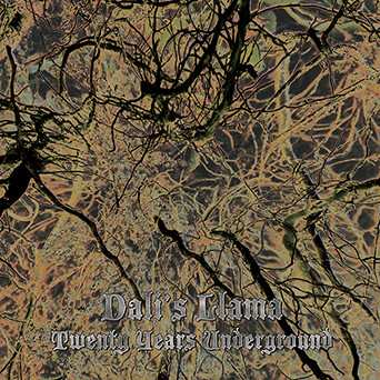 Album Dali's Llama: Twenty Years Underground