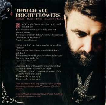 CD Damien O'Kane: Avenging & Bright