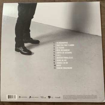 LP Damien Robitaille: Univers Parallèles