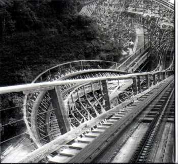 CD Dan Baird And Homemade Sin: Rollercoaster