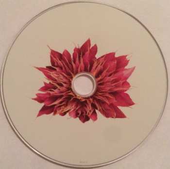 CD Daniel Lanois: Belladonna