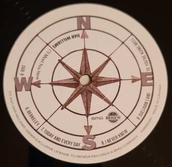 LP Dar Williams: I'll Meet You Here