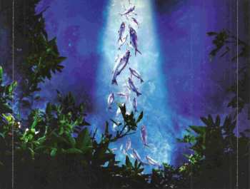 2CD Dark Moor: Project X LTD