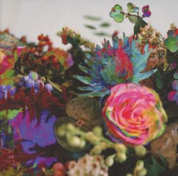 Album Darkstar: News From Nowhere