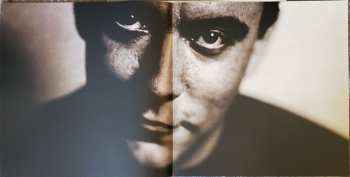 2LP Dave Matthews: Some Devil