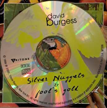CD David Burgess: Silver Nuggets & Fool's Gold