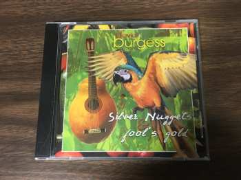 CD David Burgess: Silver Nuggets & Fool's Gold