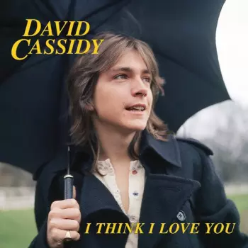 I Think I Love You