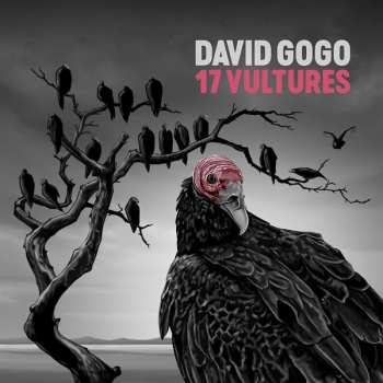 LP David Gogo: 17 Vultures