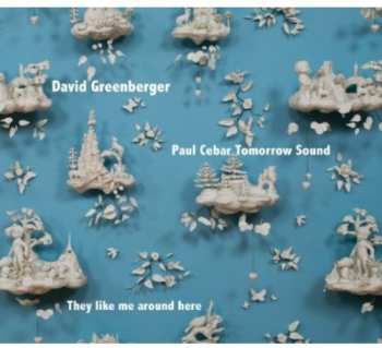Album David Greenberger: They Like Me Around Here