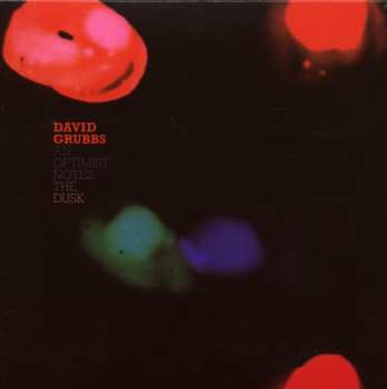 CD David Grubbs: An Optimist Notes The Dusk