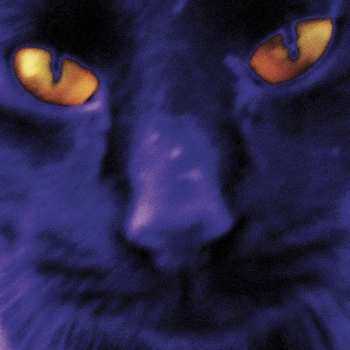 LP David Kilgour: Bobbie's A Girl