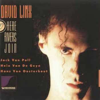 CD David Linx: Where Rivers Join