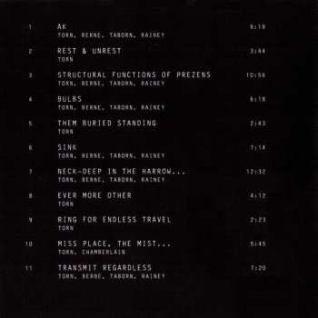 CD David Torn: Prezens