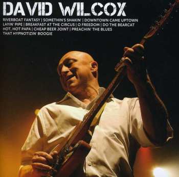 Album David Wilcox: Icon