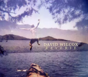 David Wilcox: Reverie