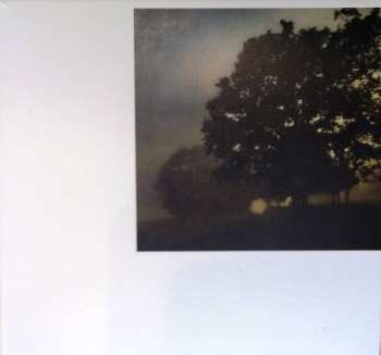 CD Day For Nights: Day For Nights