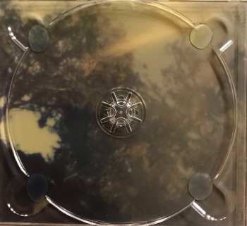 CD Day Wave: Headcase / Hard To Read