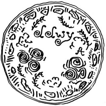 Album ddwy: Spinning Stones