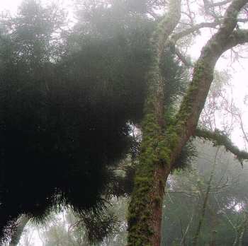 CD Gérald de Palmas: Sur Ma Route DIGI