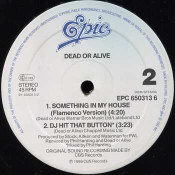 LP Dead Or Alive: Something In My House (Mortevicar Mix)