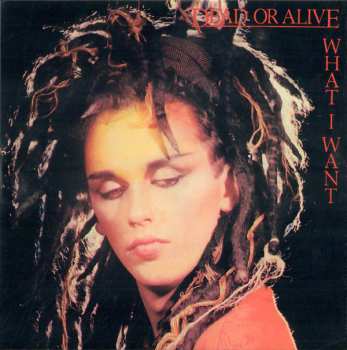 27CD/Box Set Dead Or Alive: Still Spinnin' - The Singles Collection 1983-2021 LTD