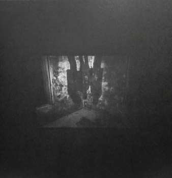 LP Dead Void: Volatile Forms