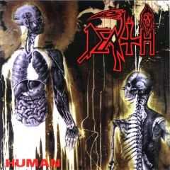 2CD Death: Human DLX