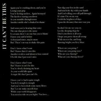 CD Death Angel: The Evil Divide