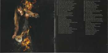 CD Deceptionist: Initializing Irreversible Process