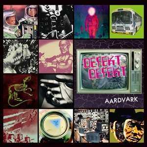 LP Defekt Defekt: Aardvark