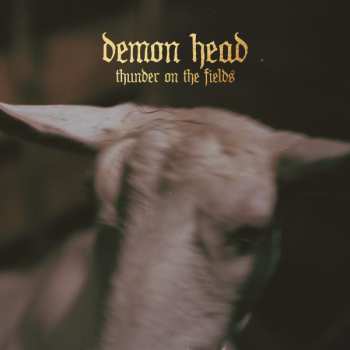 LP Demon Head: Thunder On The Fields