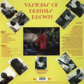 LP Dennis Brown: Visions Of Dennis Brown