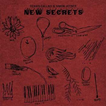 Album Dennis Callaci: New Secrets