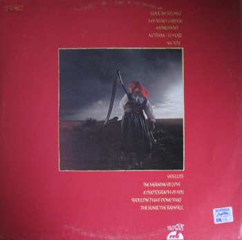 LP Depeche Mode: A Broken Frame