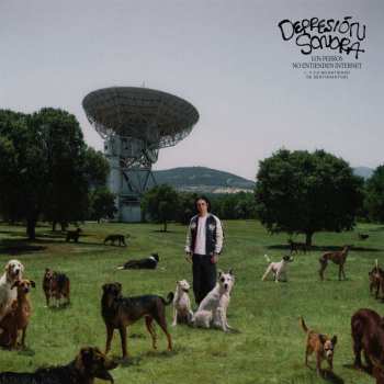 Album Depresión Sonora: Los Perros No Entienden Internet (... Y Yo No Entiendo De Sentimientos)