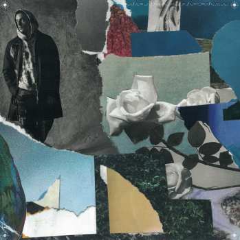 LP Dermot Kennedy: Without Fear
