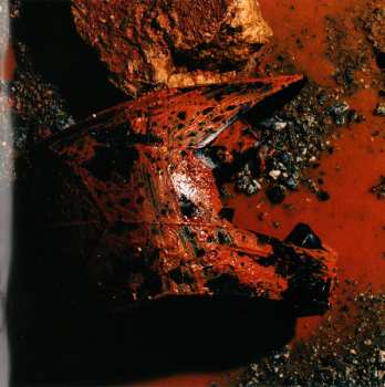 CD Destroy Lonely: Love Lasts Forever