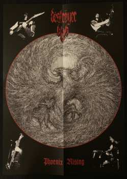 LP Deströyer 666: Phoenix Rising CLR | LTD