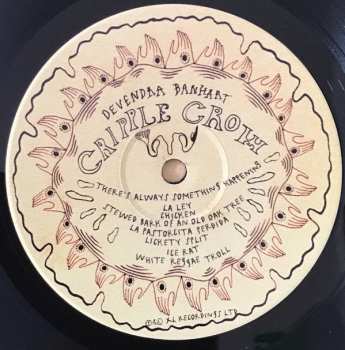 2LP Devendra Banhart: Cripple Crow