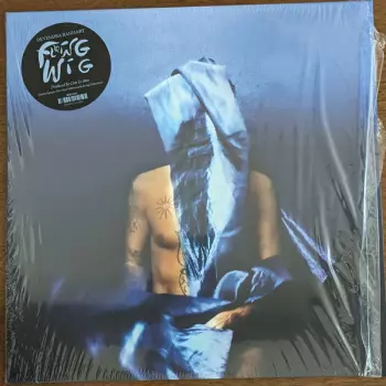 Devendra Banhart: Flying Wig