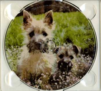 CD Devine & Griffiths: Wheels To Get To Heaven