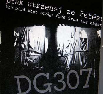 5CD/Box Set DG 307: Svědek Spálenýho Času (Witness To The Burnt Time)