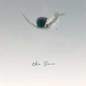 Album Dia Frampton: Bruises