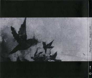 CD Diary Of Dreams: Grau Im Licht