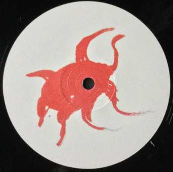 LP Dijf Sanders: Java