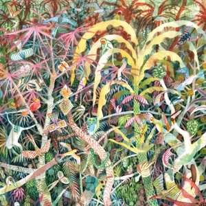 Album Dijf Sanders: Lichen