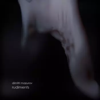 Dmitry Mazurov: Rudiments