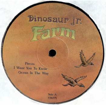 2LP Dinosaur Jr.: Farm
